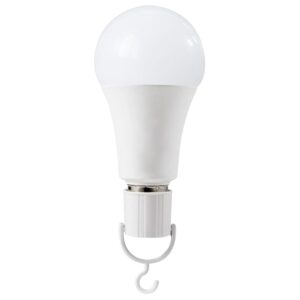 Emergency LED Bulb
